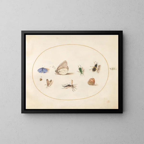 Platine Painting 19 Two butterflies with five other insects - Joris Hoefnagel — framed artwork on a wall