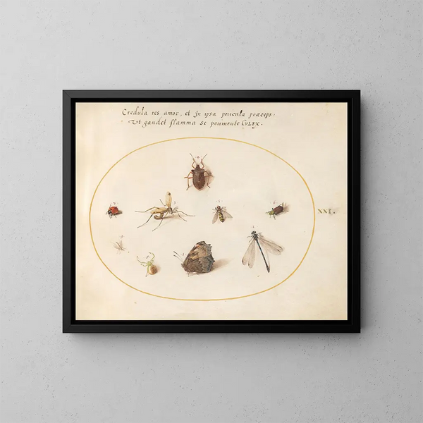 Platine Painting 21 A butterfly with a dragonfly, a ladybug, and five other insects - Joris Hoefnagel — framed artwork on a wall