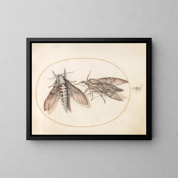 Platine Painting 26 Two Sphinxes - Joris Hoefnagel — framed artwork on a wall
