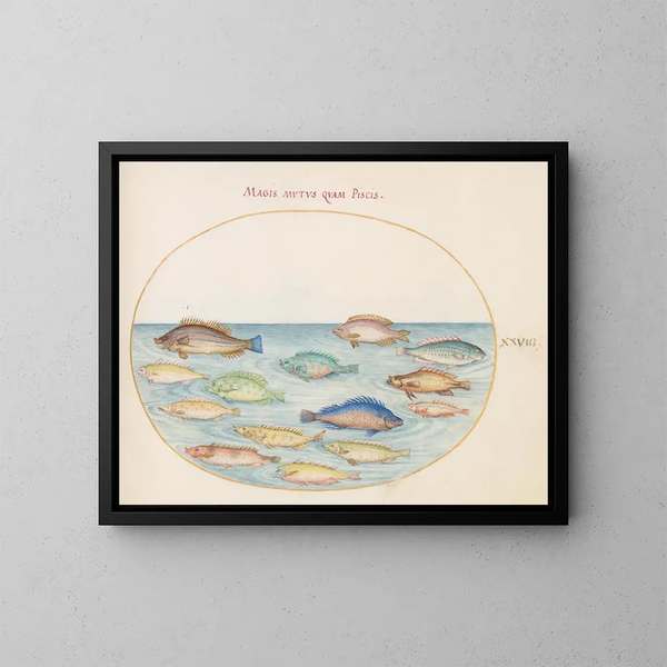 Platine Painting 28: Dorade et autres poissons - Joris Hoefnagel — framed artwork on a wall