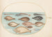 Planche 33 Zeebodem en andere platvissen met lintvis - Joris Hoefnagel — weergave van het kunstwerk