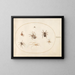 Platine 38 Sept spinnen - Joris Hoefnagel — ingelijst kunstwerk aan de muur