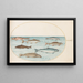 Planche 40 Zalm, forel en zoetwatervissen - Joris Hoefnagel — ingelijst kunstwerk aan de muur