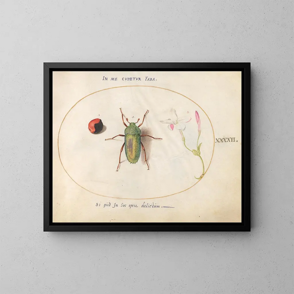 Plaque 42: Jewel beetle with a rosary dot and a oleander flower - Joris Hoefnagel — framed artwork on a wall