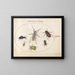 Planche 43: Muskuskever, oliekever, tansykever, kakkerlak, bladpootsprinkhaan en andere insecten - Joris Hoefnagel — ingelijst kunstwerk aan de muur