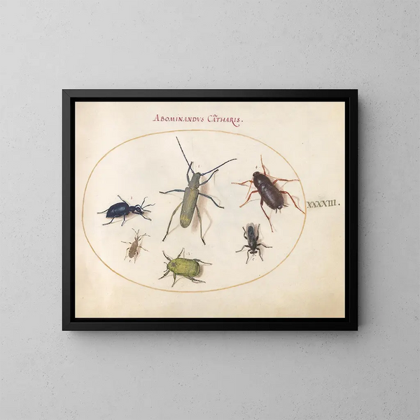 Planche 43: Scarabée musqué, scarabée huileux, scarabée de la tanaisie, cafard, punaise à pattes foliacées et autres insectes - Joris Hoefnagel — framed artwork on a wall