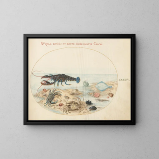 Joris Hoefnagel - Plate 44 Lobster Two Crabs Scallop Shells and Other Sea Life.webp