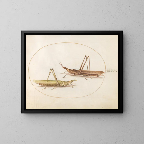Platine Painting 45 Two long-headed grasshoppers - Joris Hoefnagel — framed artwork on a wall