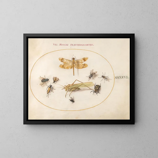 Plant Painting 47 A dragonfly, an damselfly, grasshoppers, houseflies, a necrophagous beetle, a flowering longhorn beetle, and other insects - Joris Hoefnagel — framed artwork on a wall