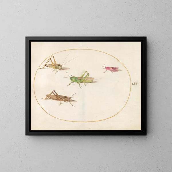 Platine Painting 52 Four Grasshoppers - Joris Hoefnagel — framed artwork on a wall