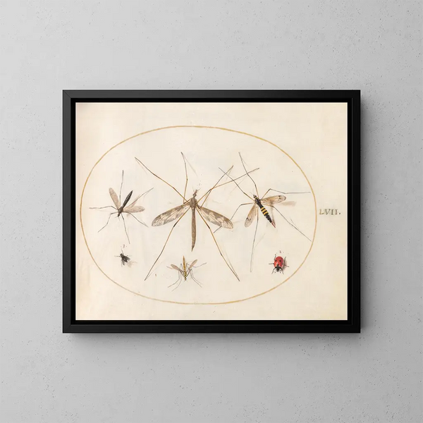 Platine 57 A ladybug, a fly, and four other insects - Joris Hoefnagel — framed artwork on a wall