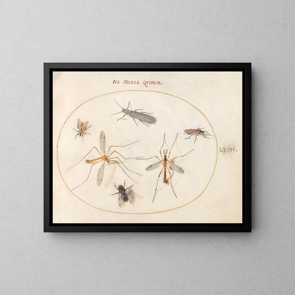 Platine Painting 58 A bee and five other insects - Joris Hoefnagel — framed artwork on a wall