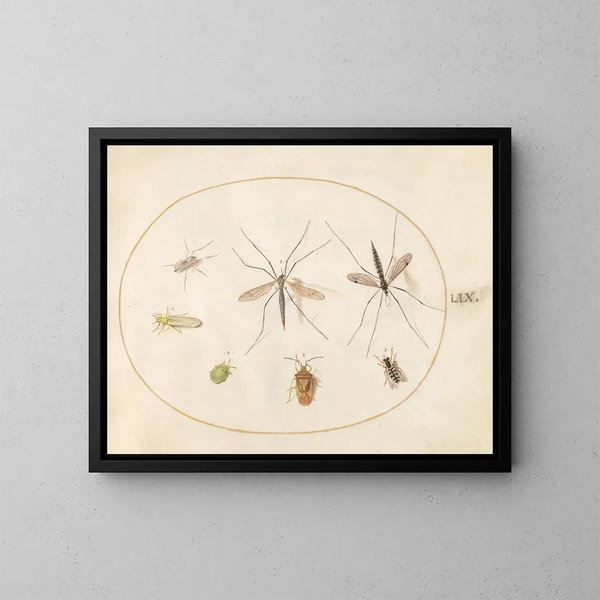 Platine Painting 59 Sept insects, including a hawthorn shield insect, crane flies, and a hoverfly - Joris Hoefnagel — framed artwork on a wall