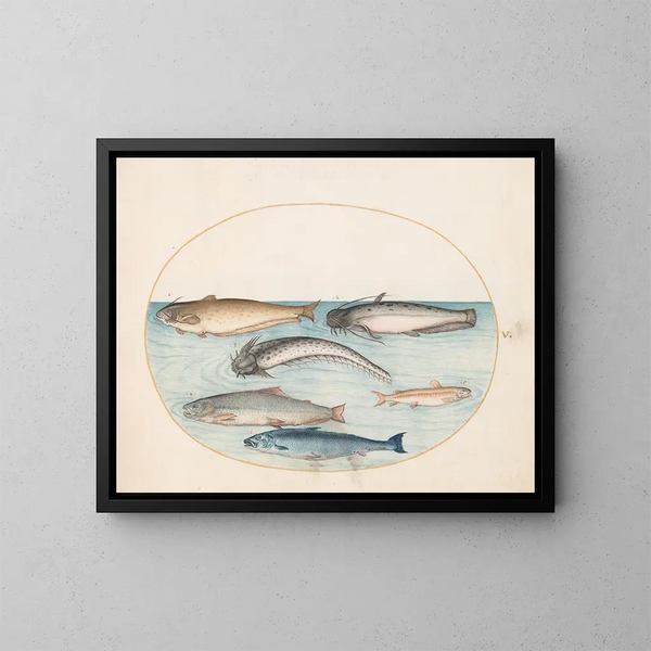 Planche 5 Three catfish, one salmon, and two other fish - Joris Hoefnagel — framed artwork on a wall