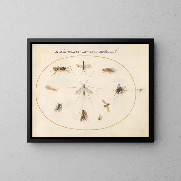 Plant 60 Flies and other insects - Joris Hoefnagel — framed artwork on a wall
