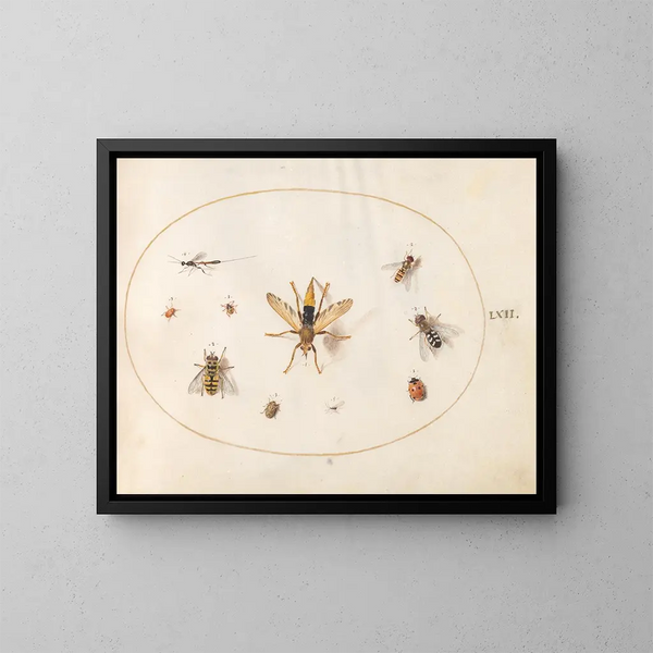 Platine 62 Ten insects - Joris Hoefnagel — framed artwork on a wall