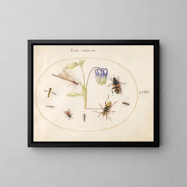 Plant Painting 63 A dragonfly, a spotted longhorn beetle, a necrophore, and other insects with a blue and white columbine - Joris Hoefnagel — framed artwork on a wall