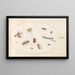 Planche 64, onze insecten waaronder een libel en een langhorentje - Joris Hoefnagel — ingelijst kunstwerk aan de muur