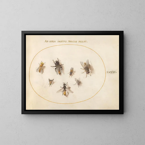 Platine Painting 68 Sept bees and flies - Joris Hoefnagel — framed artwork on a wall