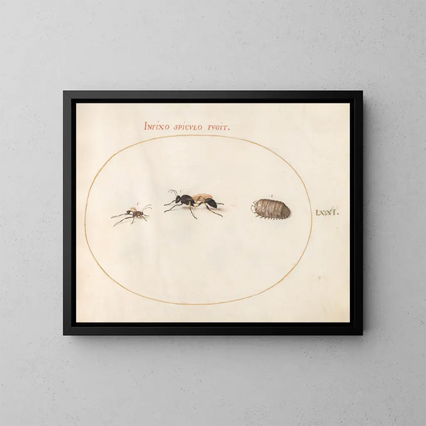 Platine Painting 71 Two wasps and a guinea pig - Joris Hoefnagel — framed artwork on a wall