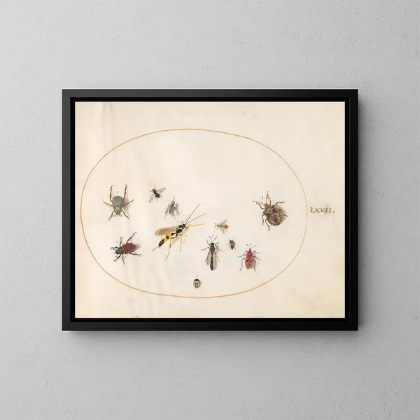 Platine Painting 72: Shield bugs, cinnamon bug, wasp, and other insects - Joris Hoefnagel — framed artwork on a wall