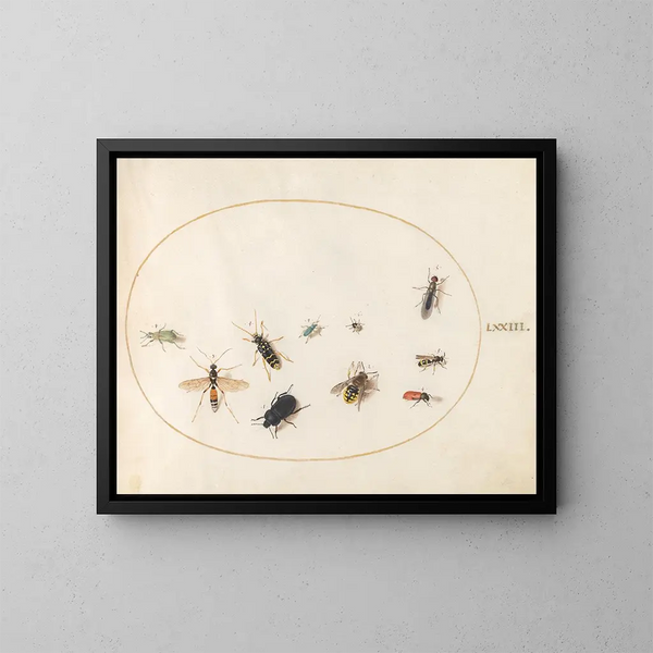 Platine 73 Ten insects - Joris Hoefnagel — framed artwork on a wall