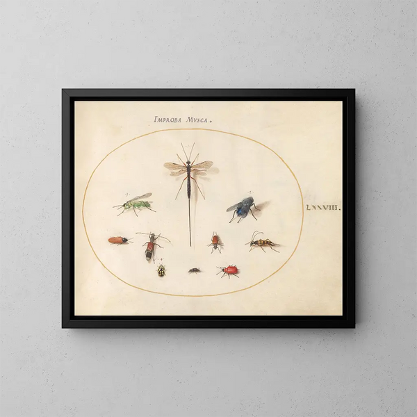 Plate 78 Ten insects including a blue fly - Joris Hoefnagel — framed artwork on a wall