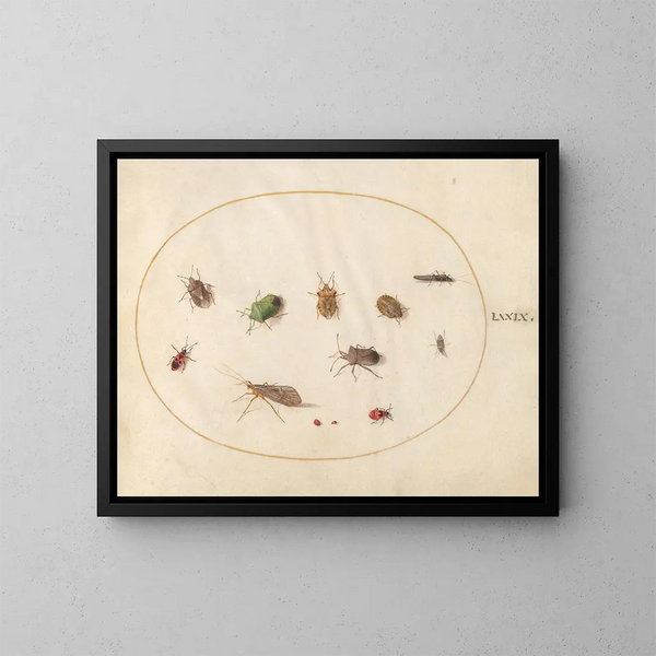Platine 79 Twelve insects including bugs - Joris Hoefnagel — framed artwork on a wall