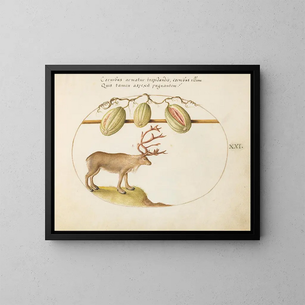 Reindeer with melons - Joris Hoefnagel — framed artwork on a wall