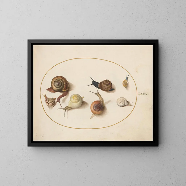 Seven Snails - Joris Hoefnagel — framed artwork on a wall