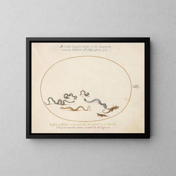 Serpents et un lézard - Joris Hoefnagel — framed artwork on a wall