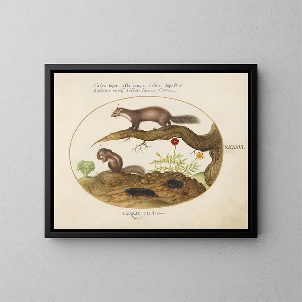 Fouine, tamia et taupes avec un souci et de la laitue - Joris Hoefnagel — framed artwork on a wall