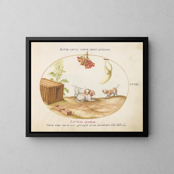 Three puppies with a box and a bunch of grapes - Joris Hoefnagel — framed artwork on a wall