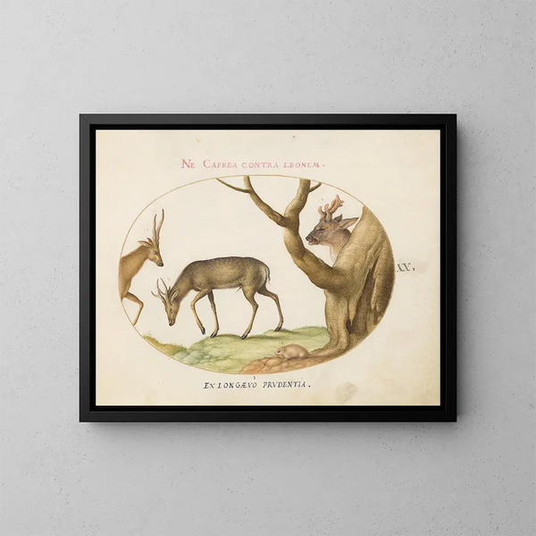Trois types de cerfs avec un loir - Joris Hoefnagel — framed artwork on a wall