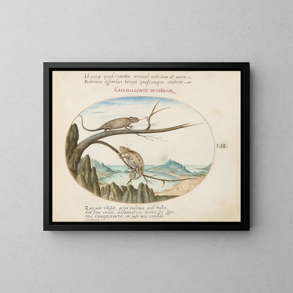 Two Common or Mediterranean Chameleons above San Sebastián, Spain - Joris Hoefnagel — framed artwork on a wall
