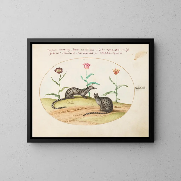 Two genets or civets with tulips - Joris Hoefnagel — framed artwork on a wall