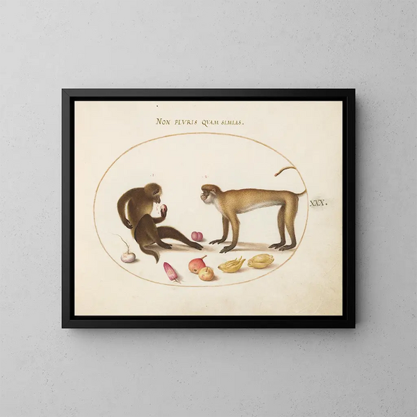 Two Monkeys - Joris Hoefnagel — framed artwork on a wall