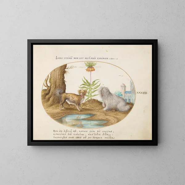 Two Small Dogs with an Imperial Crown - Joris Hoefnagel — framed artwork on a wall