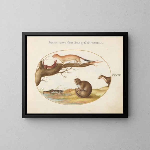 Ferrets, a ferret and a nut mouse - Joris Hoefnagel — framed artwork on a wall