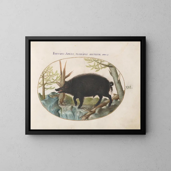 Sanglier Painting - Joris Hoefnagel — framed artwork on a wall