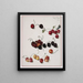 Cherry Painting - Josef Lauer — framed artwork on a wall