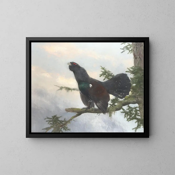 Tétrao urogallo - Josef Schmitzberger — framed artwork on a wall