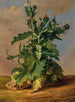 Thistles - Josef Schuster — artwork view