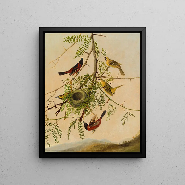 Joseph Bartholomew Kidd - Orchard Oriole.webp