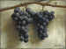 Rozijnen - Joseph Decker — weergave van het kunstwerk