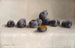 Twelve Plums - Joseph Decker — artwork view