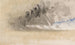 Het schetsboek van de Manche 35 - Joseph Mallord William Turner — weergave van het kunstwerk