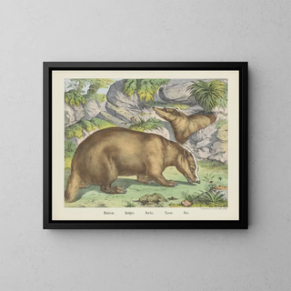 Joseph Scholz - Badger.webp