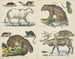 Dieren - Joseph Scholz — weergave van het kunstwerk