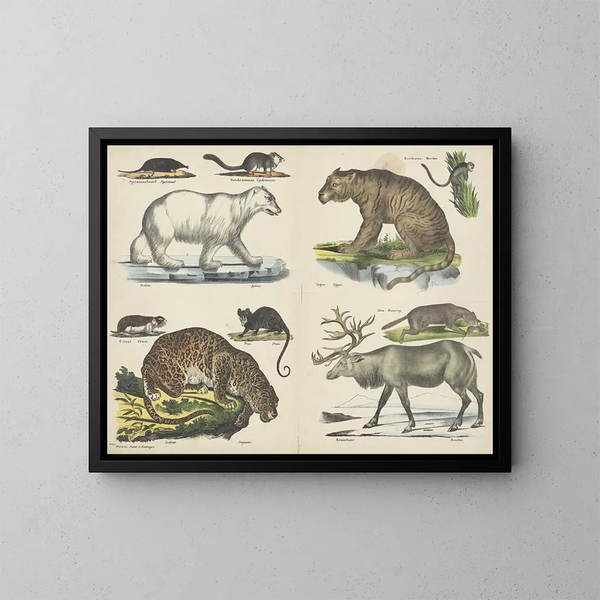 Animal Painting - Joseph Scholz — framed artwork on a wall